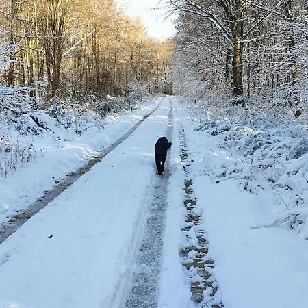 Handwerker Willkommen Appartement Langweiler (Birkenfeld)