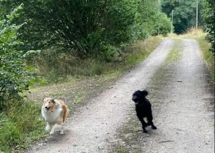 Appartement Handwerker Willkommen *