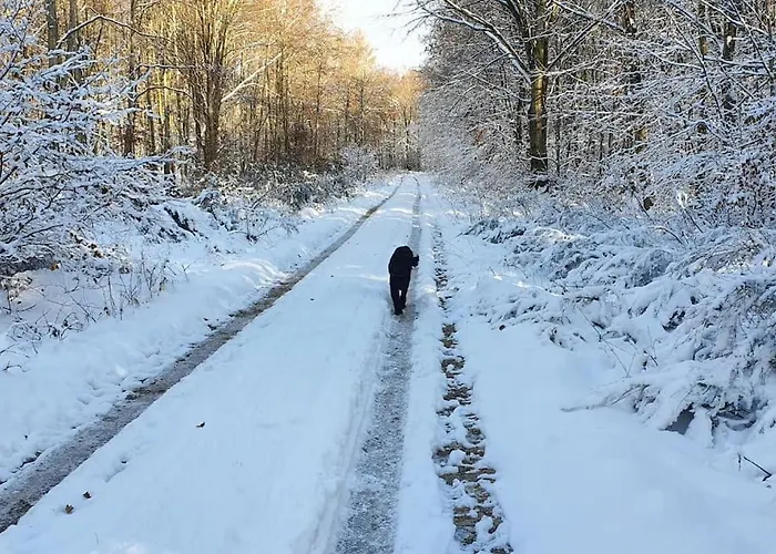 Handwerker Willkommen Appartement Langweiler (Birkenfeld)